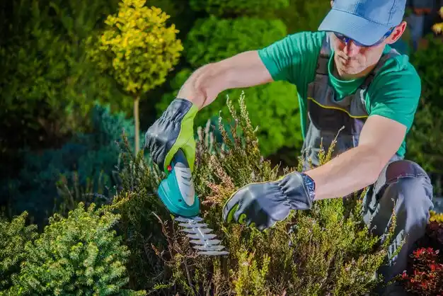 landscaping services Gothenburg